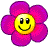 tite fleur